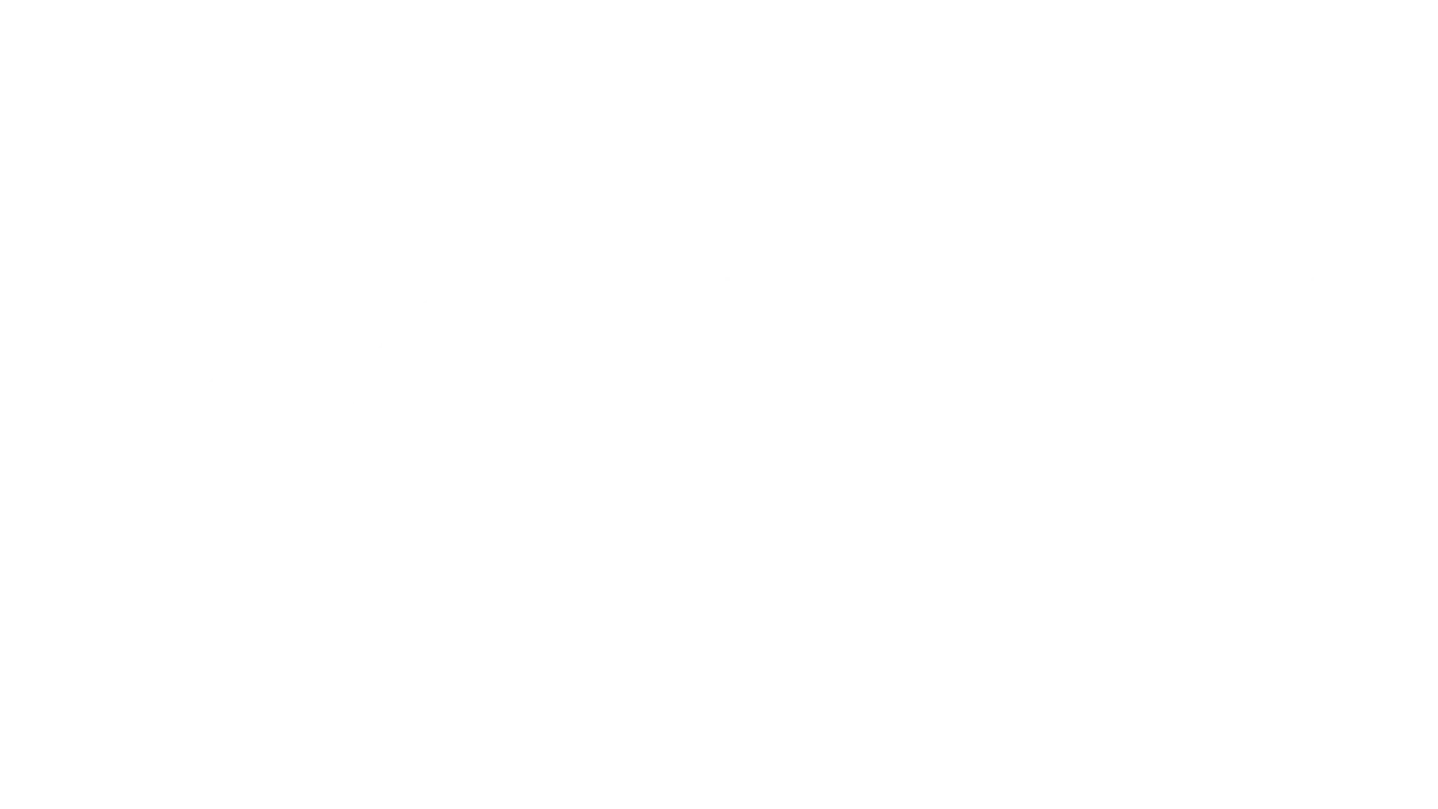 roku-logo-1.webp